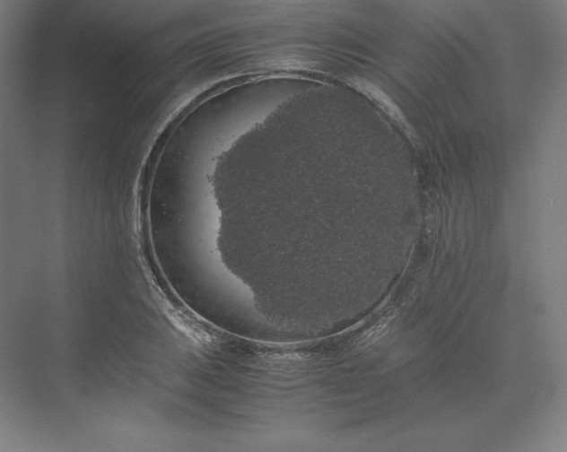 X0000074031031200609061136