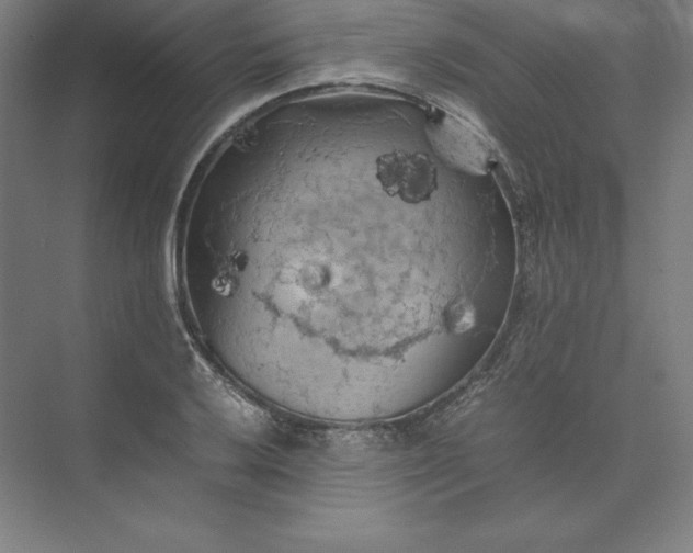 X0000074031032200609061136