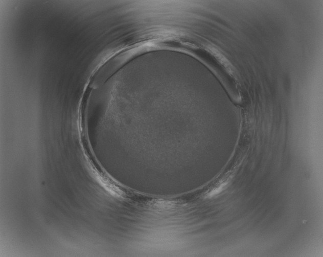 X0000074031034200609061136