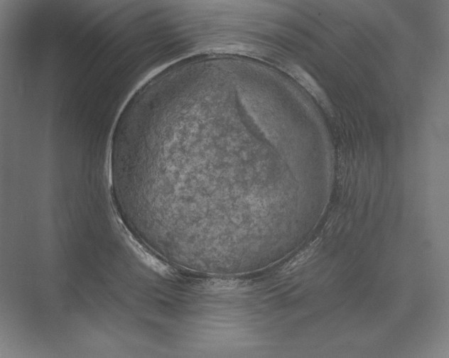 X0000074031036200609061136