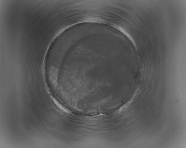 X0000074031037200609061136