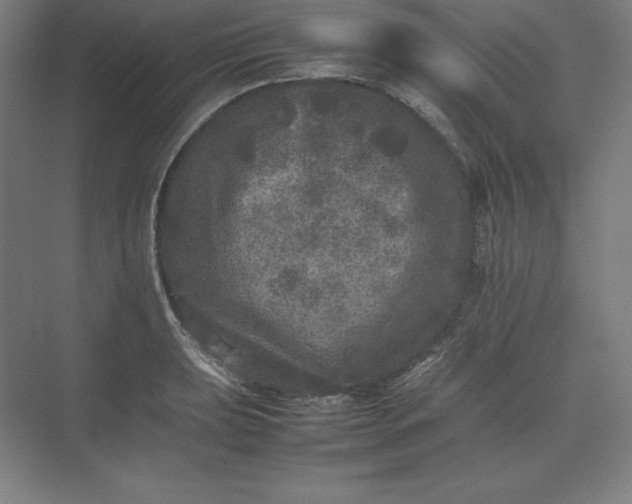 X0000074031039200609061136