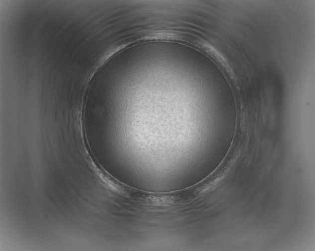 X0000074031041200609061136