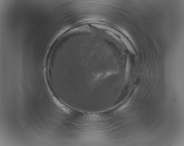 X0000074031042200609061136