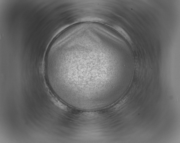 X0000074031044200609061136