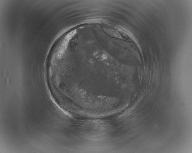 X0000074031045200609061136