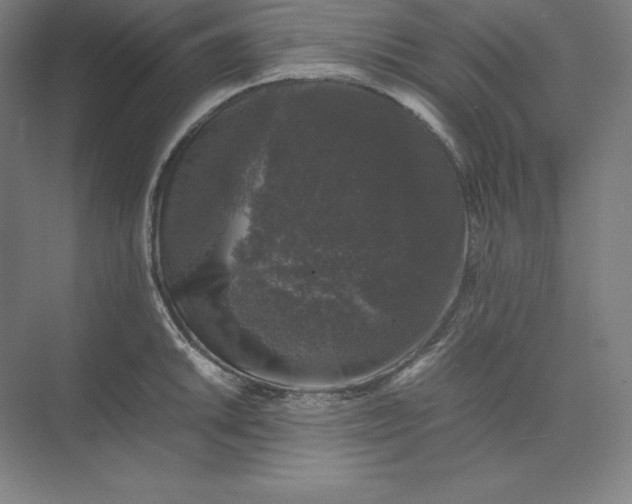 X0000074031046200609061136