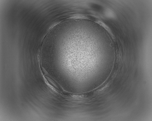 X0000074031049200609061136