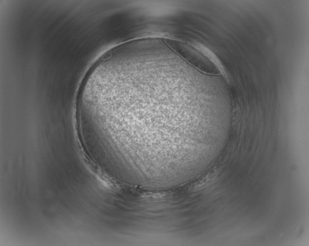 X0000074031051200609061136