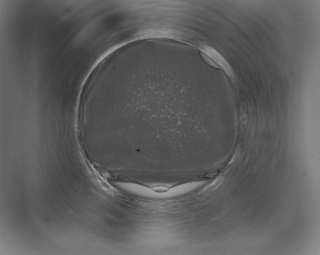 X0000074031052200609061136