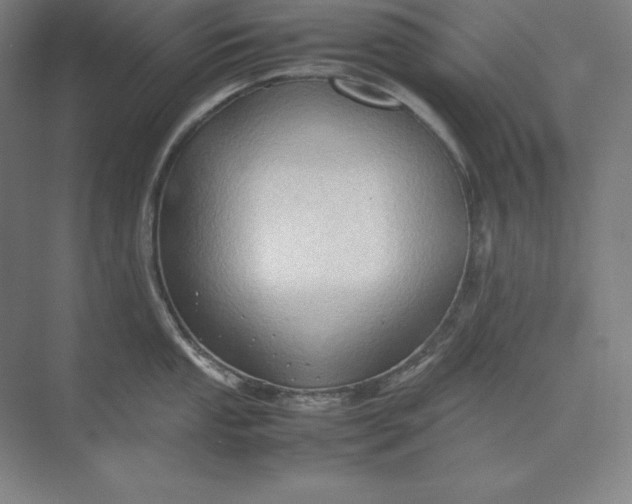 X0000074031053200609061136