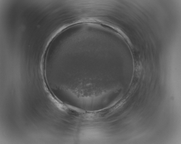 X0000074031054200609061137