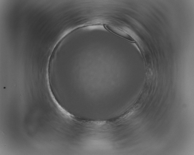 X0000074031055200609061137