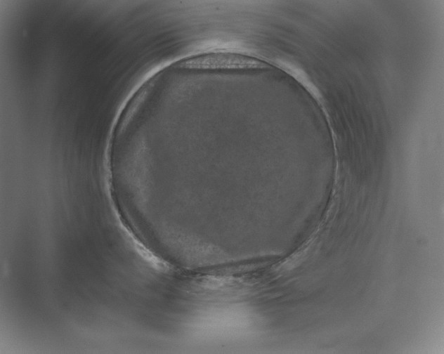 X0000074031056200609061137