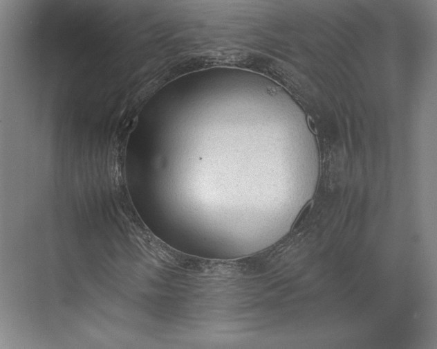 X0000074031058200609061136