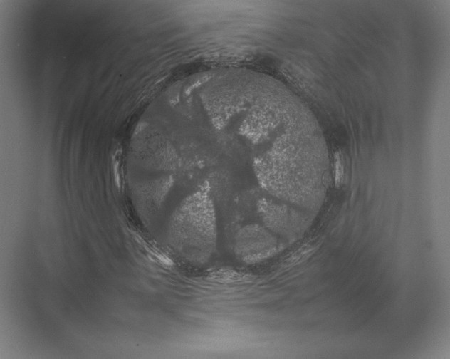 X0000074031059200609061136