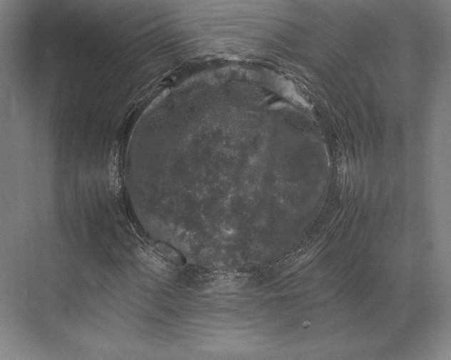 X0000074031060200609061136