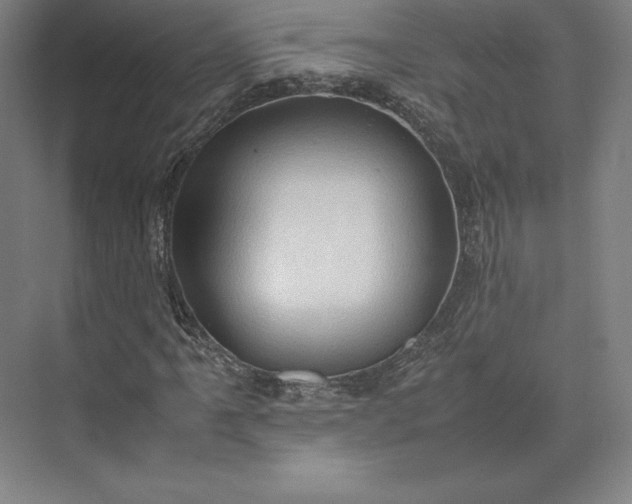 X0000074031061200609061136