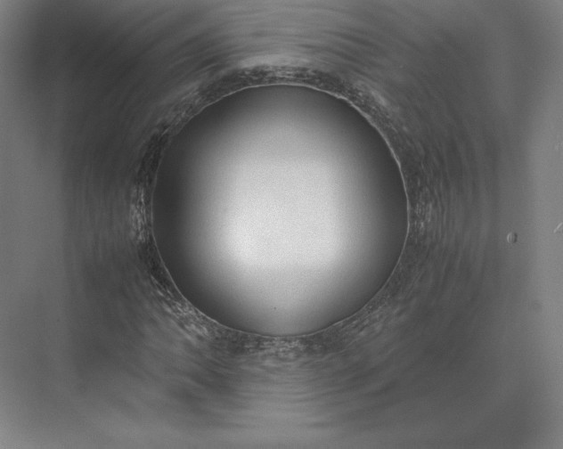 X0000074031062200609061136