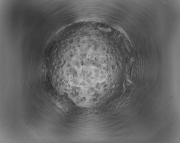 X0000074031064200609061136