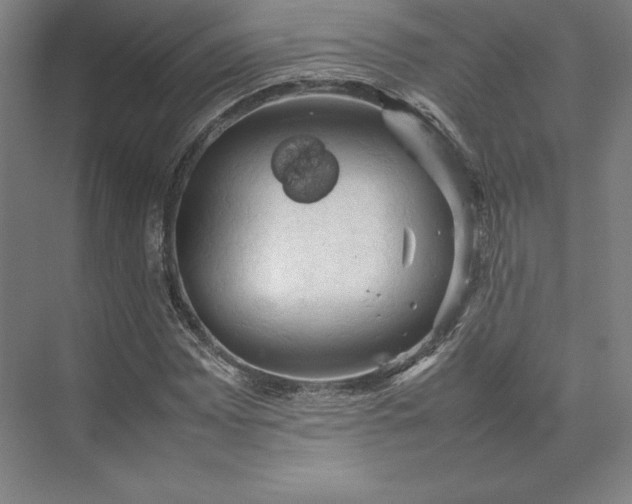 X0000074031065200609061136