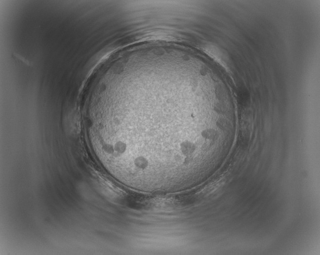 X0000074031067200609061136