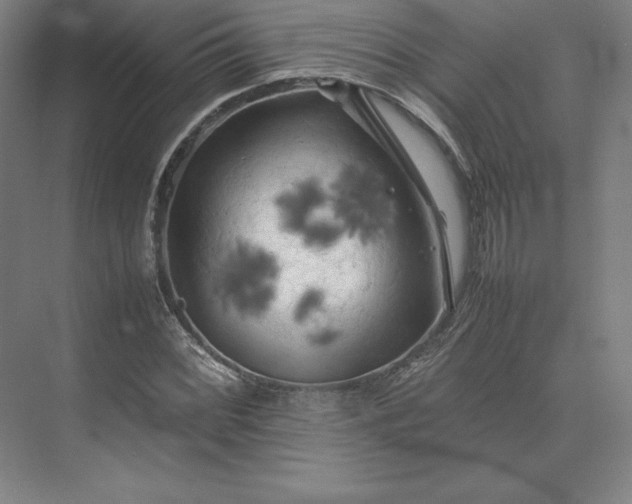 X0000074031068200609061136