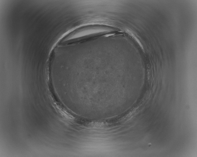 X0000074031069200609061136