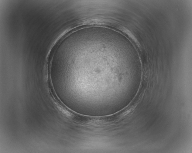 X0000074031075200609061135