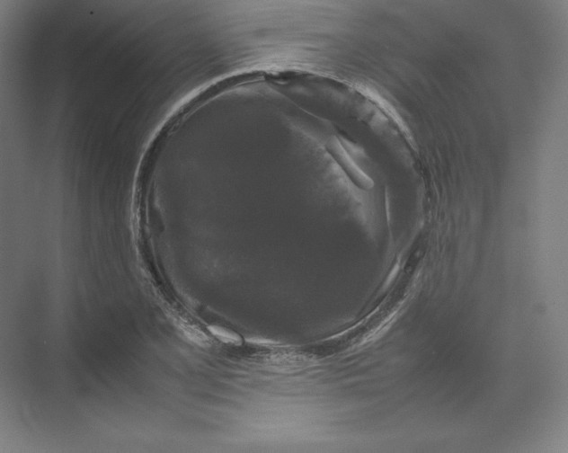 X0000074031077200609061135