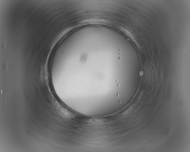 X0000074031082200609061135