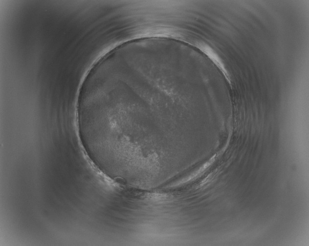 X0000074031088200609061135