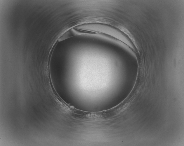 X0000074031089200609061135