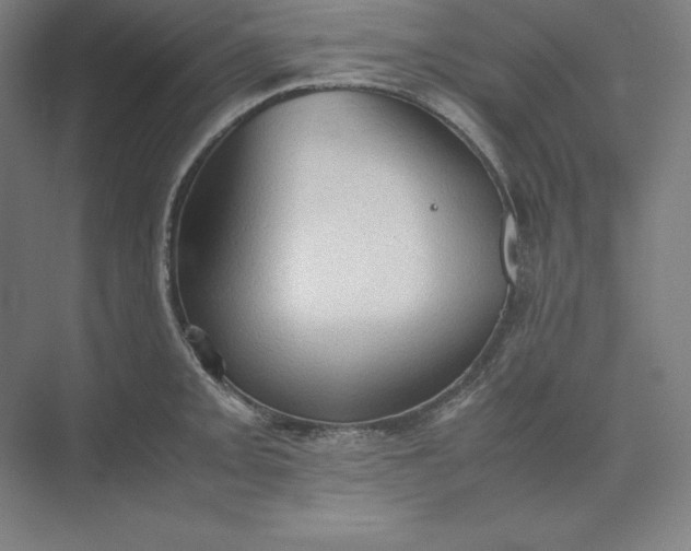 X0000074031093200609061135