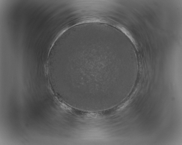 X0000074031097200609061135