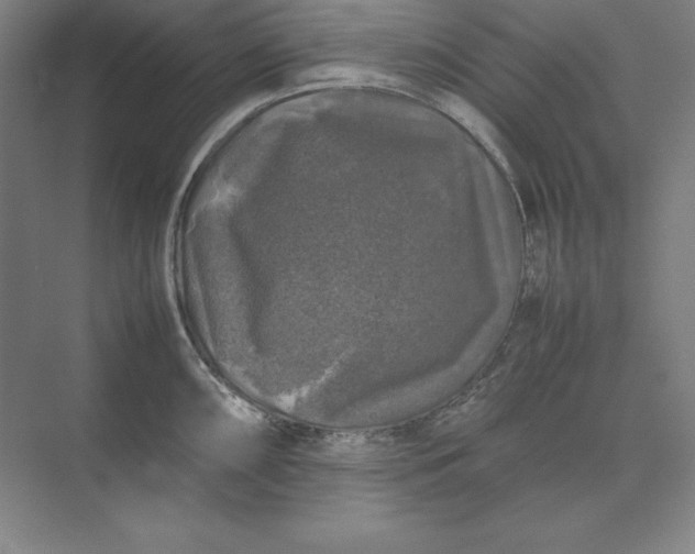 X0000074031098200609061135