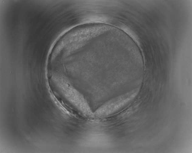 X0000074031104200609061135
