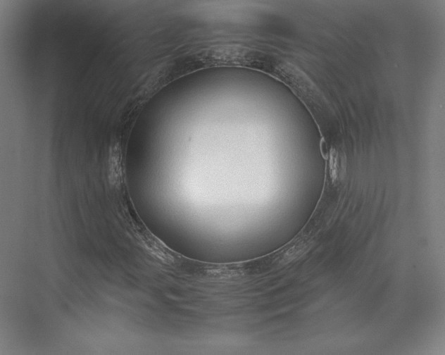 X0000074031107200609061134