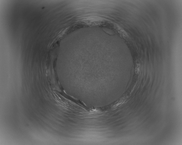 X0000074031108200609061134