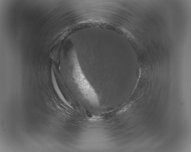 X0000074031110200609061134