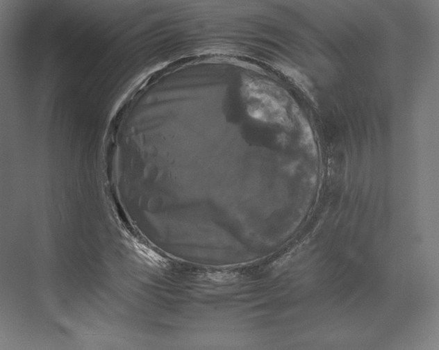 X0000074031117200609061134