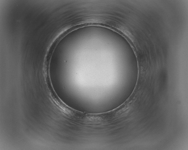 X0000074031119200609061134