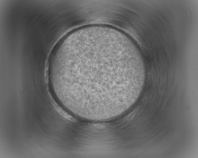 X0000074031126200609061134