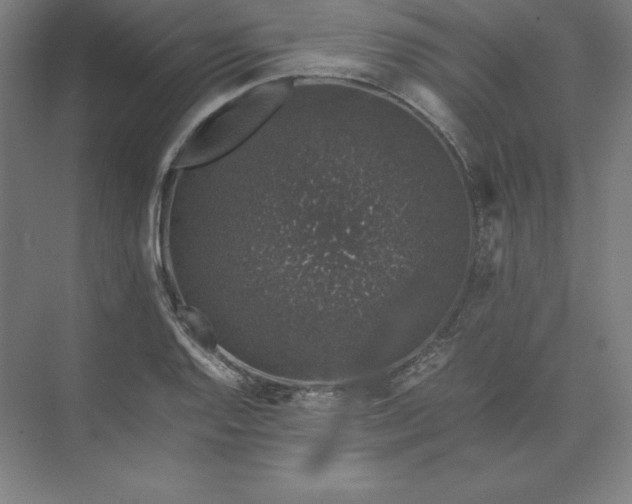 X0000074031128200609061135