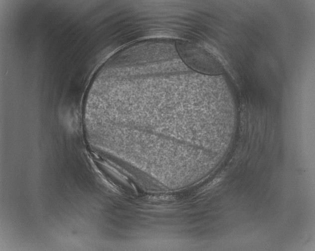 X0000074031129200609061135