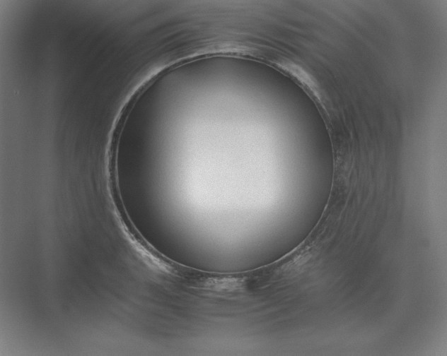 X0000074031135200609061135
