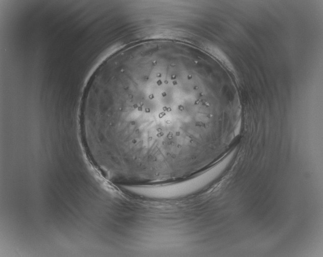 X0000074031138200609061135