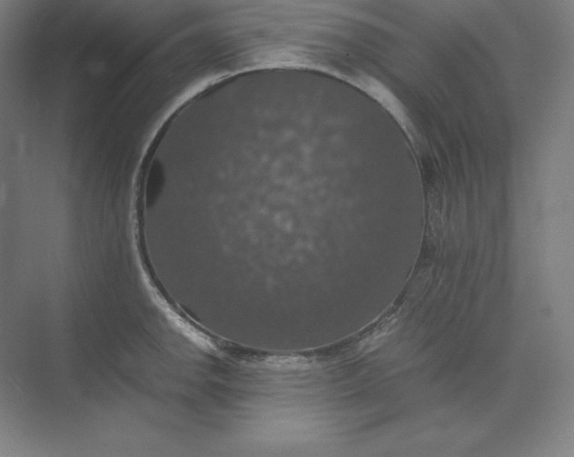 X0000074031142200609061135