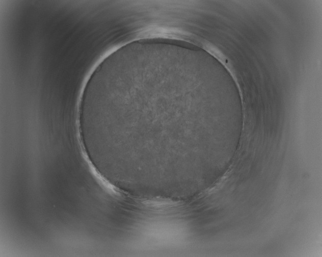 X0000074031152200609061135