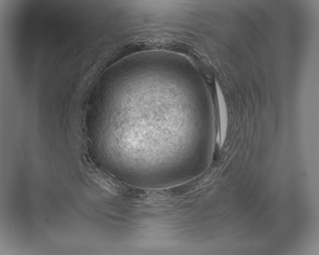 X0000074031153200609061134